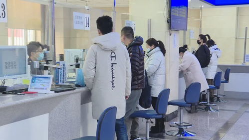 黑龙江 税务服务推 三化 营商环境有变化